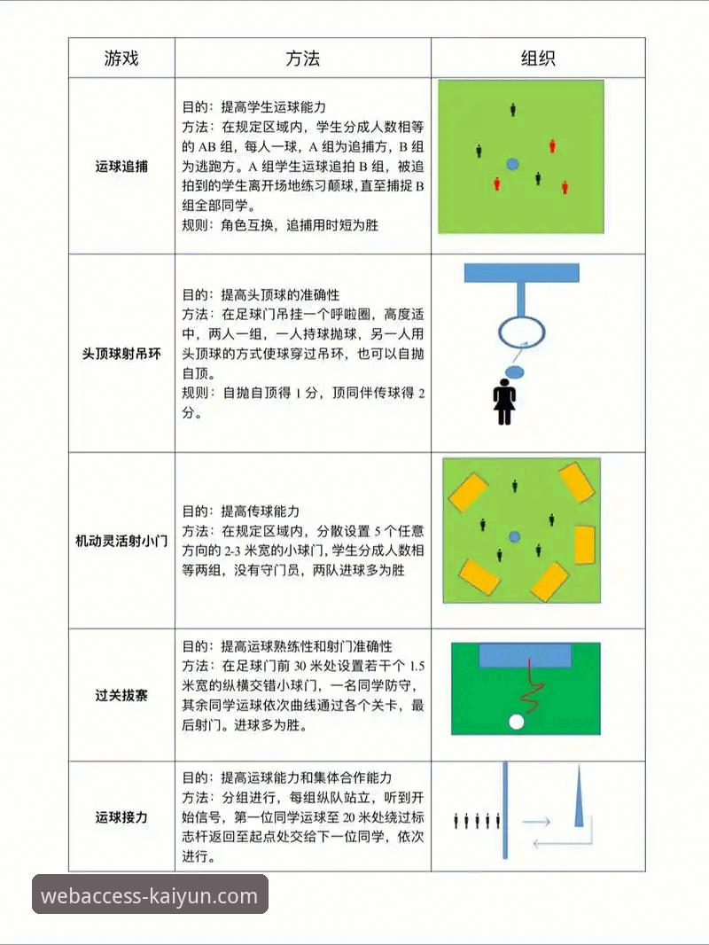 kaiyun体育平台入口与功能使用指南：如何选择最适合你的体育娱乐方案